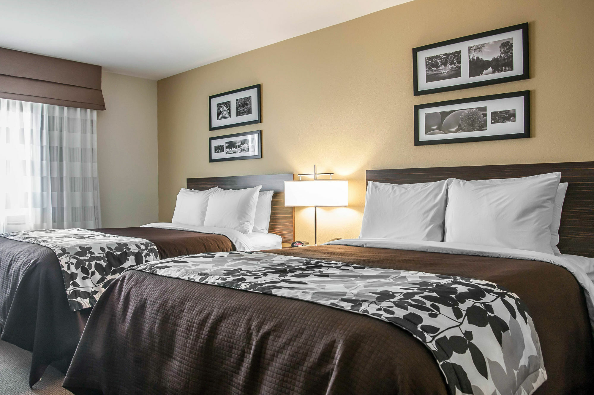 Sleep Inn & Suites Devils Lake Εξωτερικό φωτογραφία